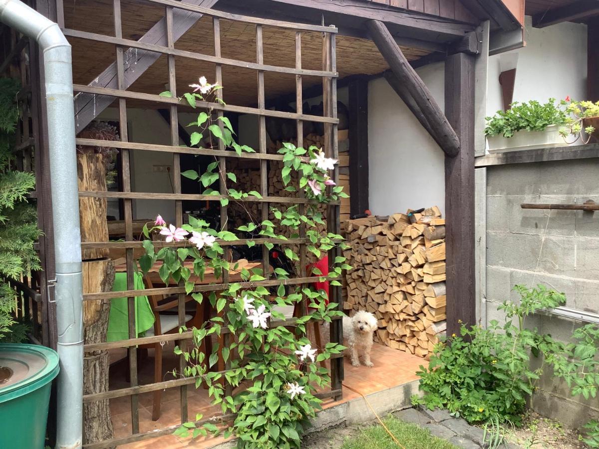 Magnolia Garden Apartment Miskolc Exterior photo